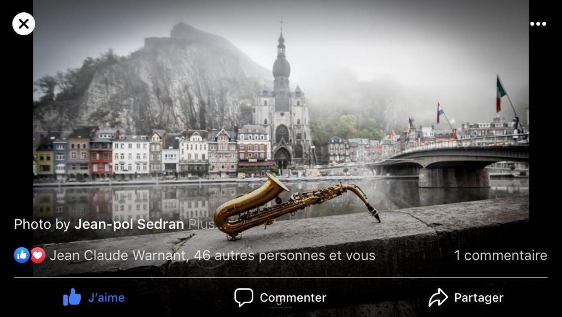 Les Voisins De Mr Sax Hotel Dinant Exterior foto